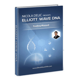 Elliott Wave DNA (Inglés)