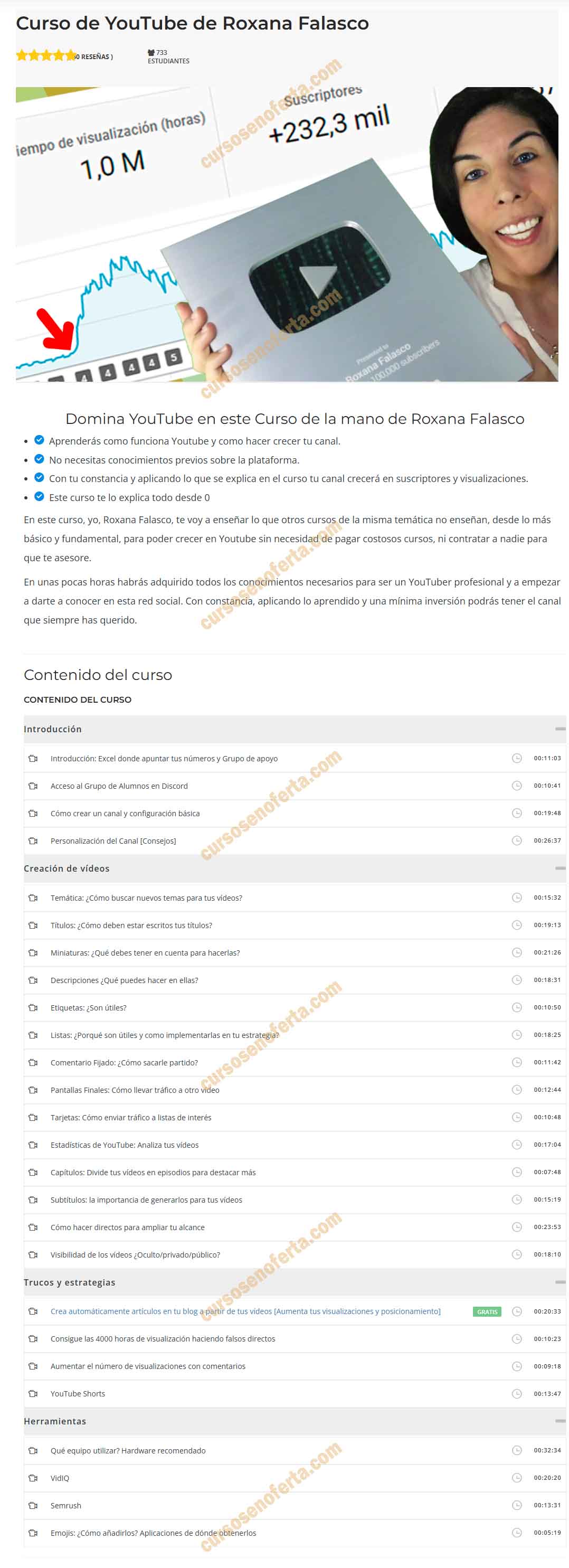 Curso de Youtube - Roxana Falasco