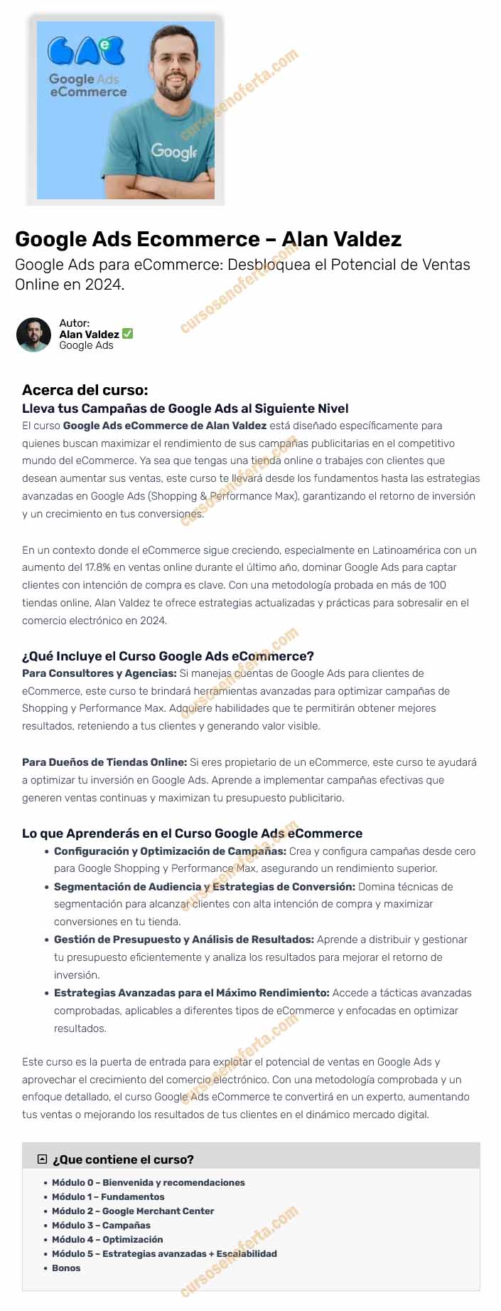 Google Ads Ecommerce - alan valdez