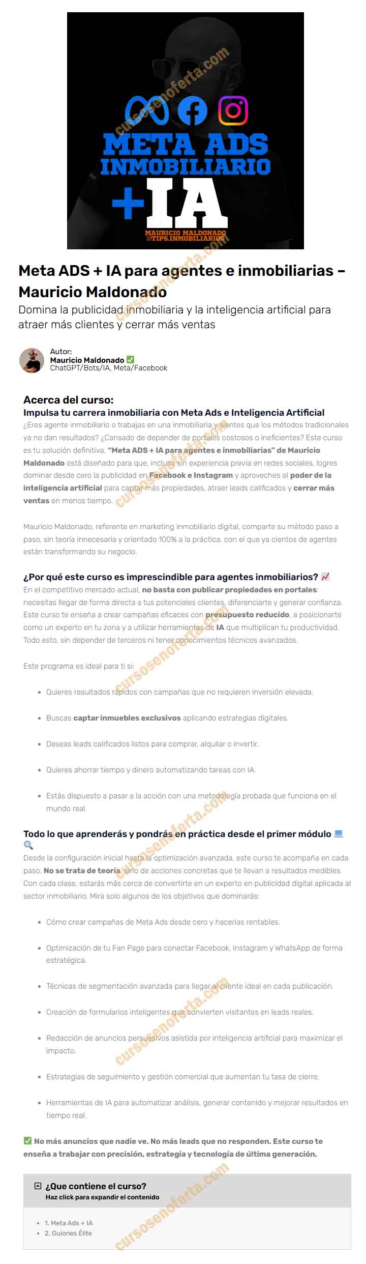 Meta ADS + IA para agentes e inmobiliarias - mauricio maldonado