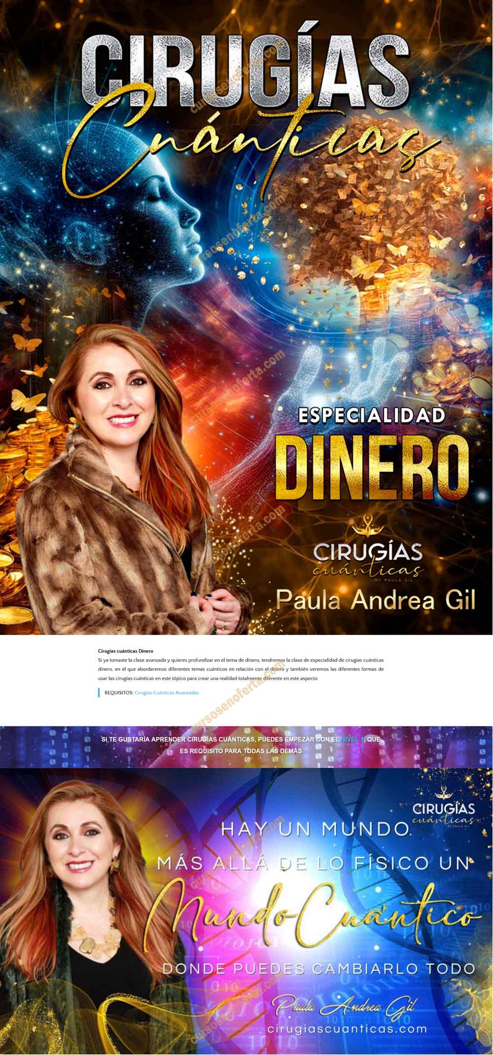 Cirugías Cuánticas Dinero - paula andrea gil