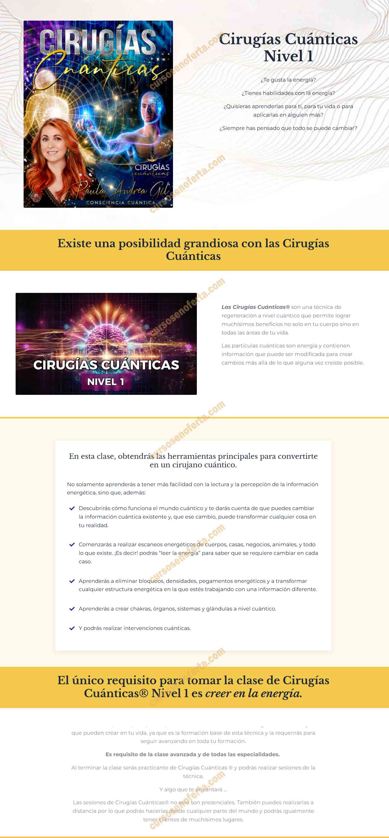 Cirugías Cuánticas Nivel 1 (Diciembre 2025 Actualización) - Paula andrea gil