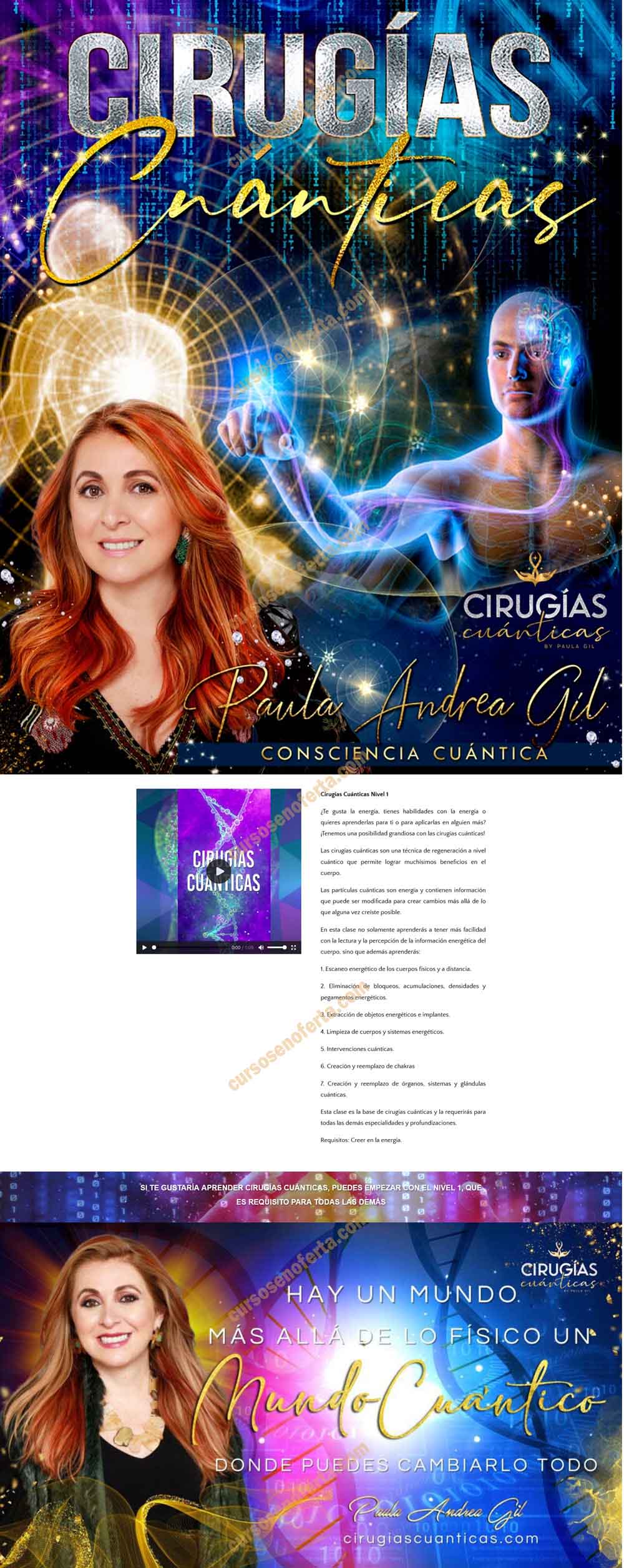 Cirugías Cuánticas Nivel 1 - paula andrea gil