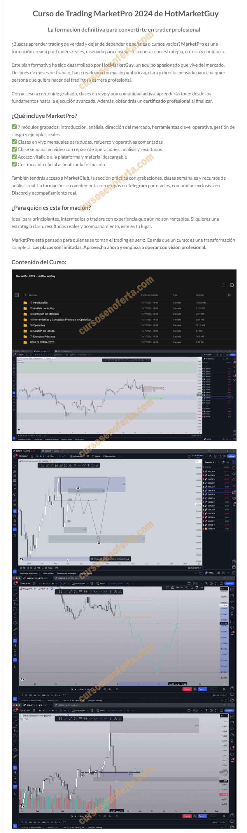 Curso de Trading MarketPro 2024 - hotmarketguy