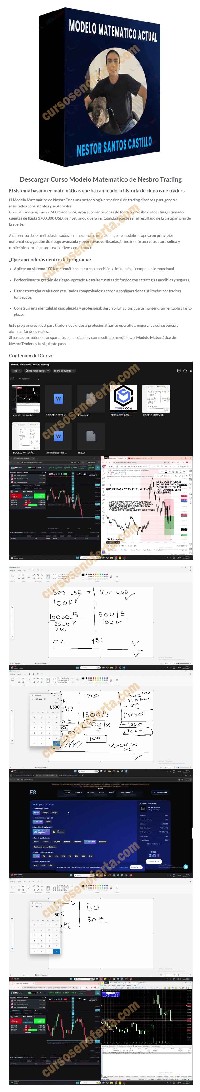 Modelo Matematico de Nesbro Trading - nesbro trading