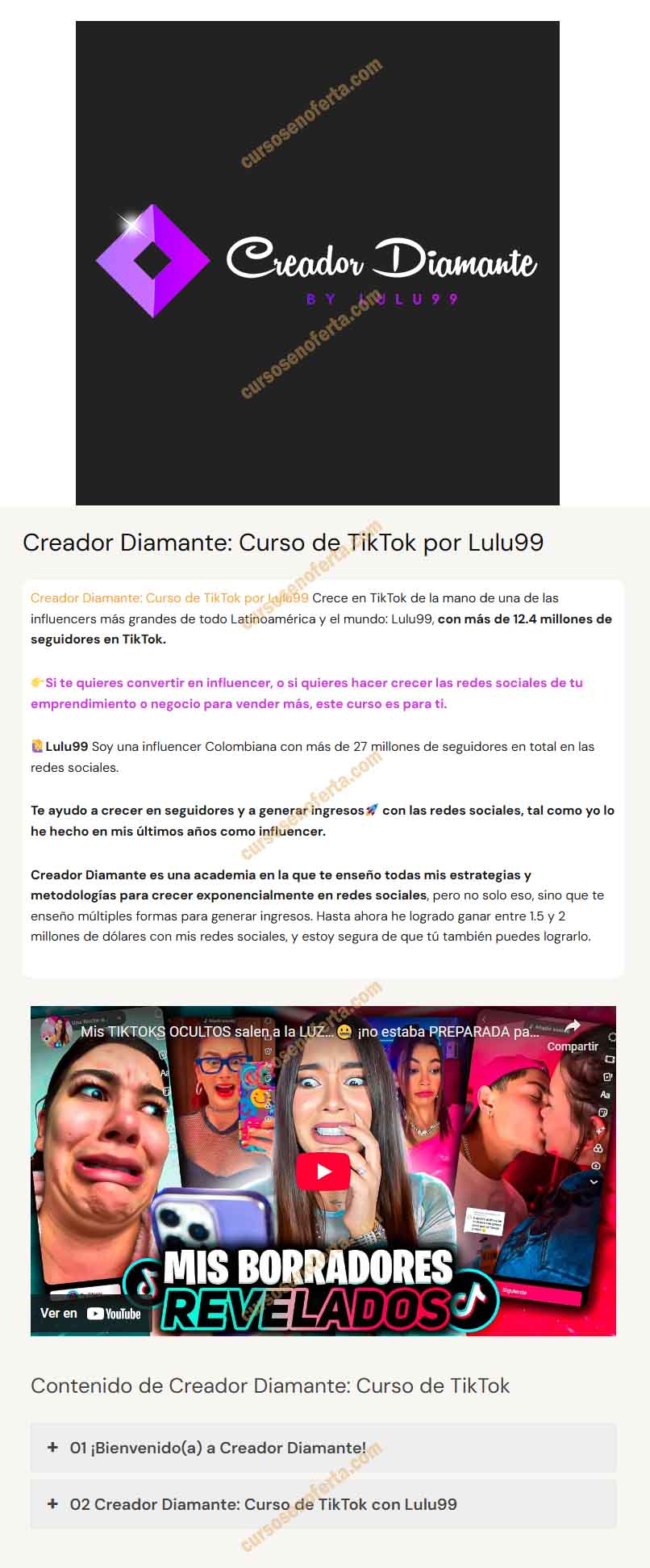 Creador Diamante Curso de TikTok - Lulu99