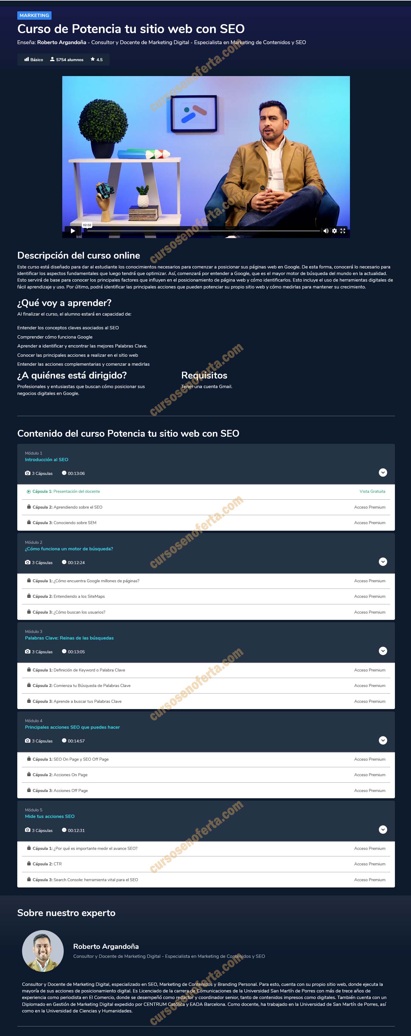 Curso Potencia tu Sitio Web con SEO - Netzun