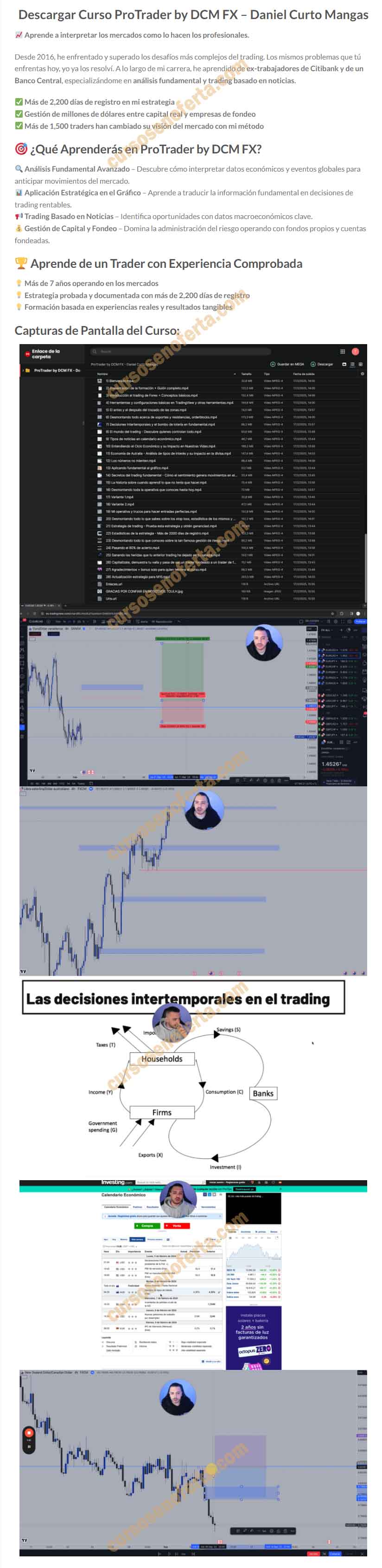 ProTrader by DCM FX - Daniel Curto Mangas