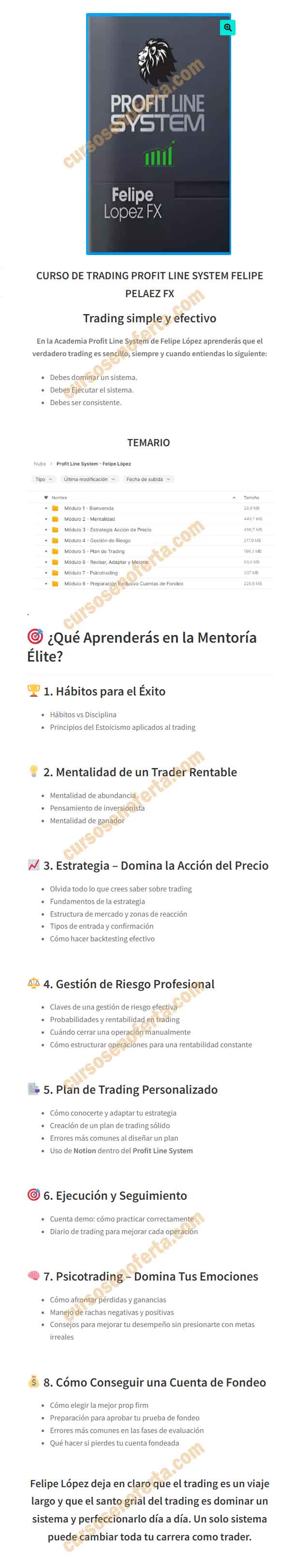 Profit Line System - Felipe López