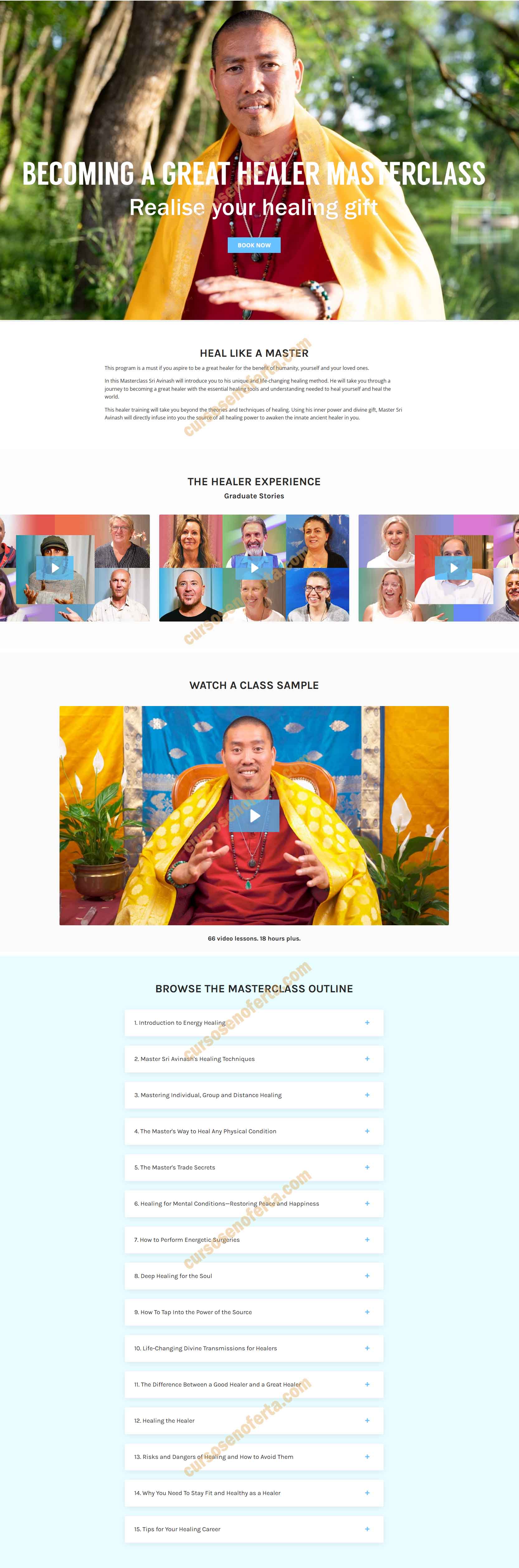 Becoming A Great Healer Masterclass - sri avinash do