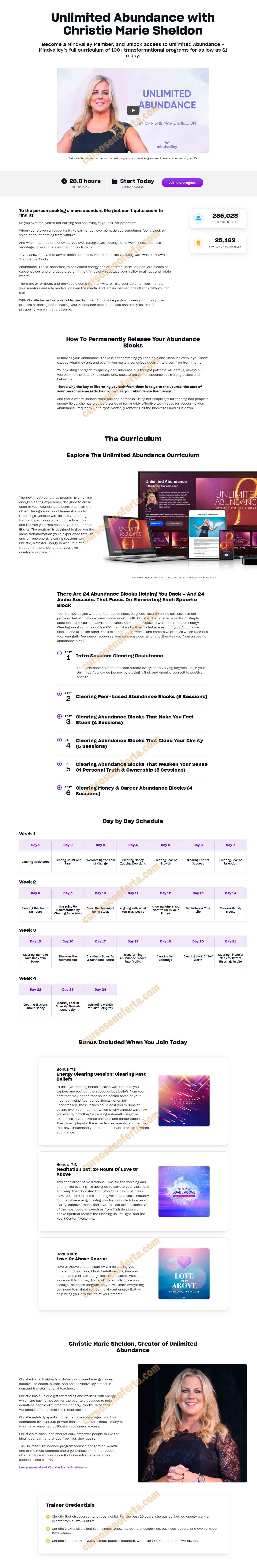 Unlimited Abundance - christie marie sheldon