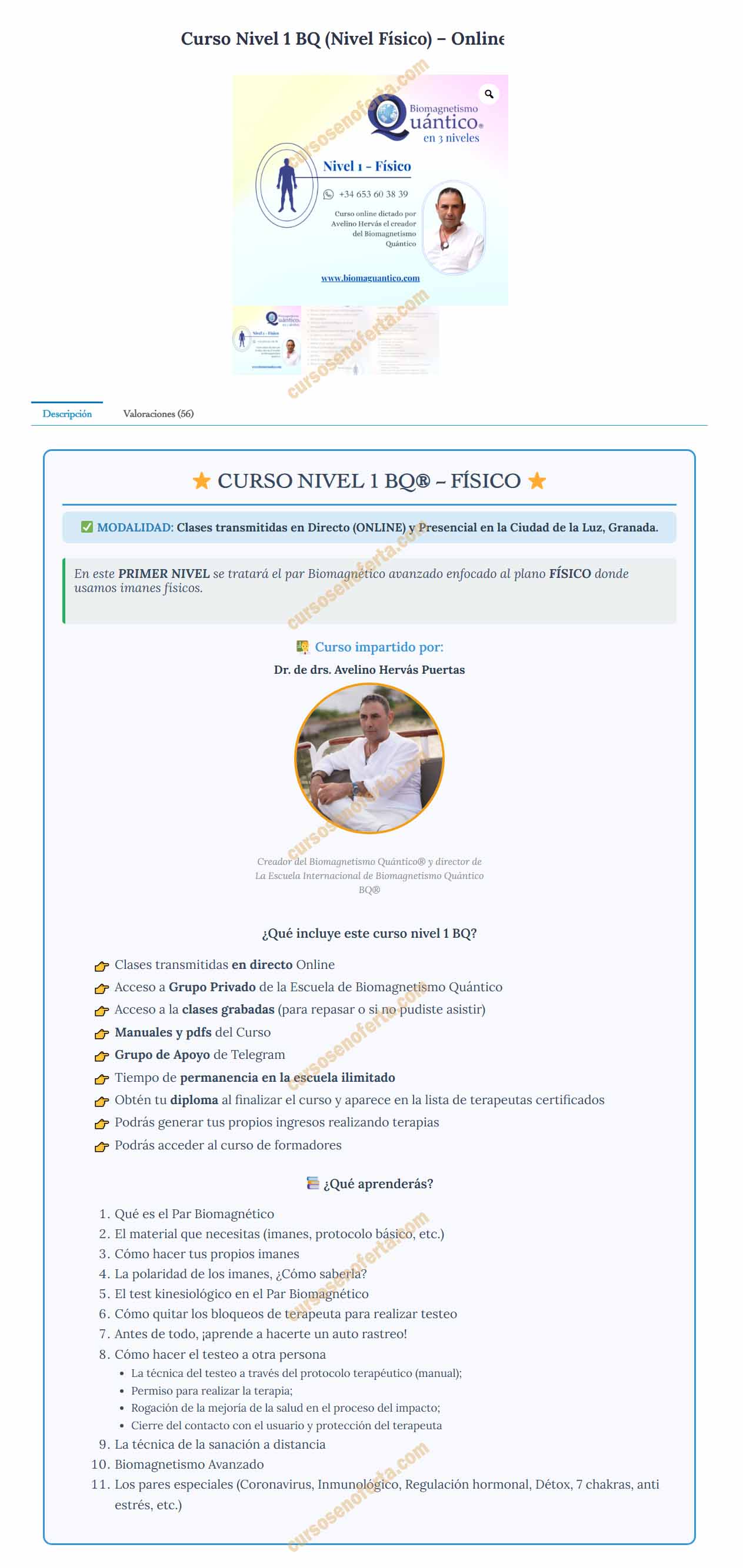 Biomagnetismo Quantico Nivel 1 - avelino hervas