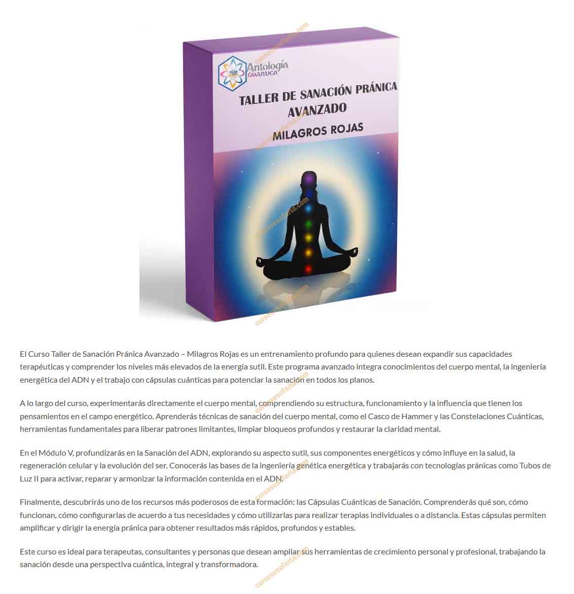 Curso de Sanación Pránica Avanzado - milagros rojas