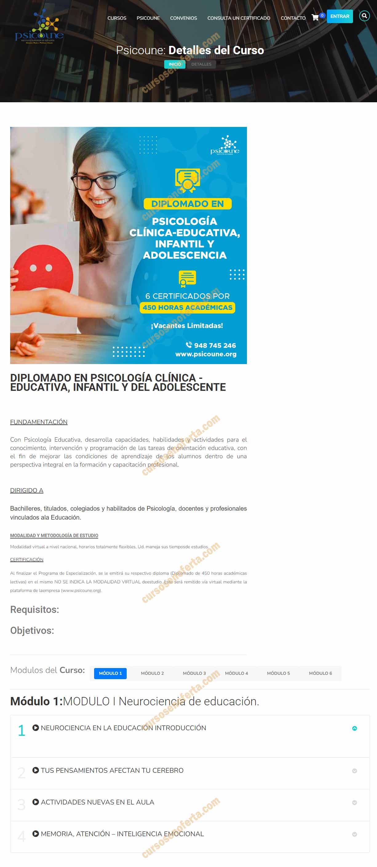 Diplomado en Psicología Clínica Educativa, Infantil y del Adolescente