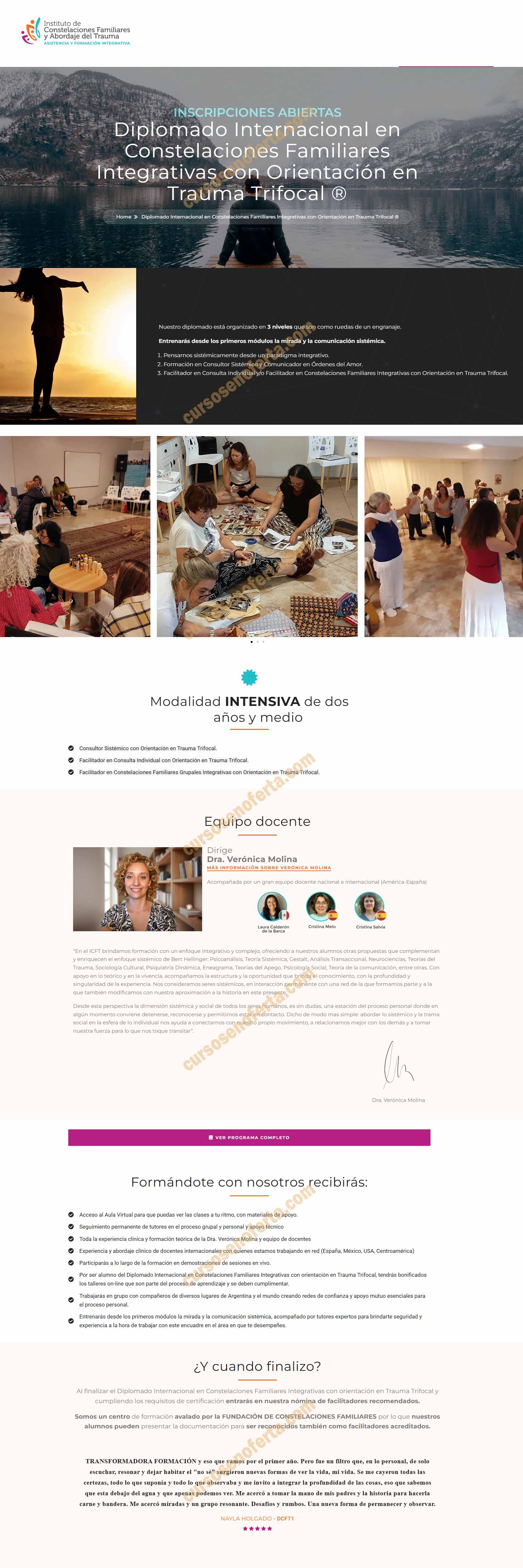 Diplomado Internacional En Constelaciones Familiares Integrativas Con Orientación En Trauma 2
