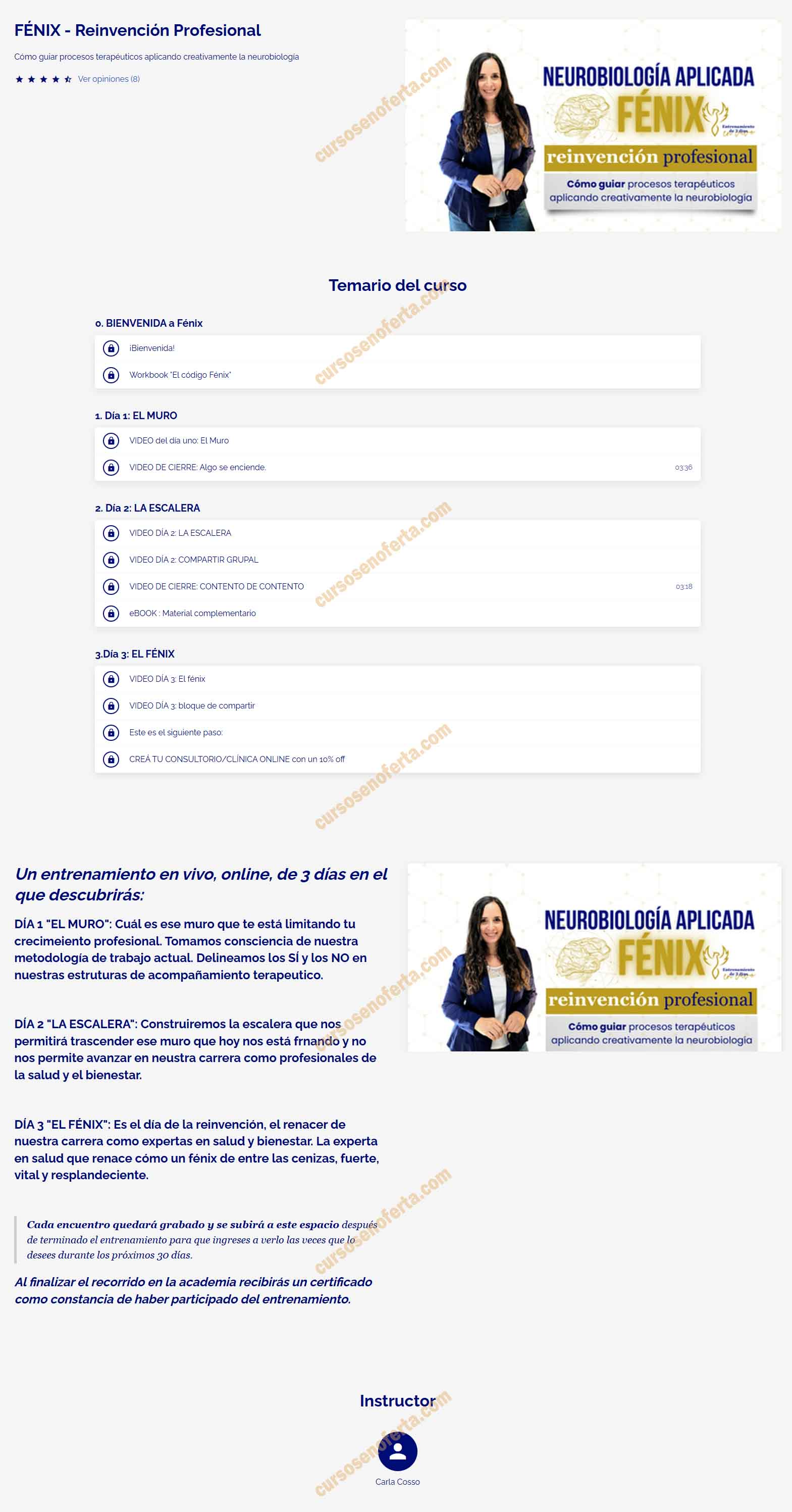 FENIX Reinvención Profesional - carla cosso