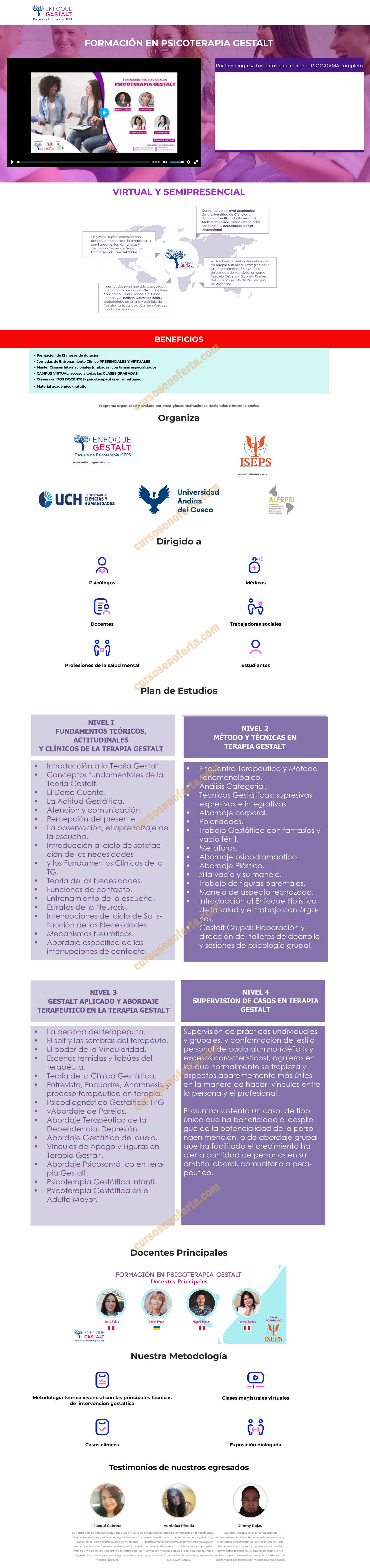 Formación en Psicoterapia Gestalt - enfoque gestalt