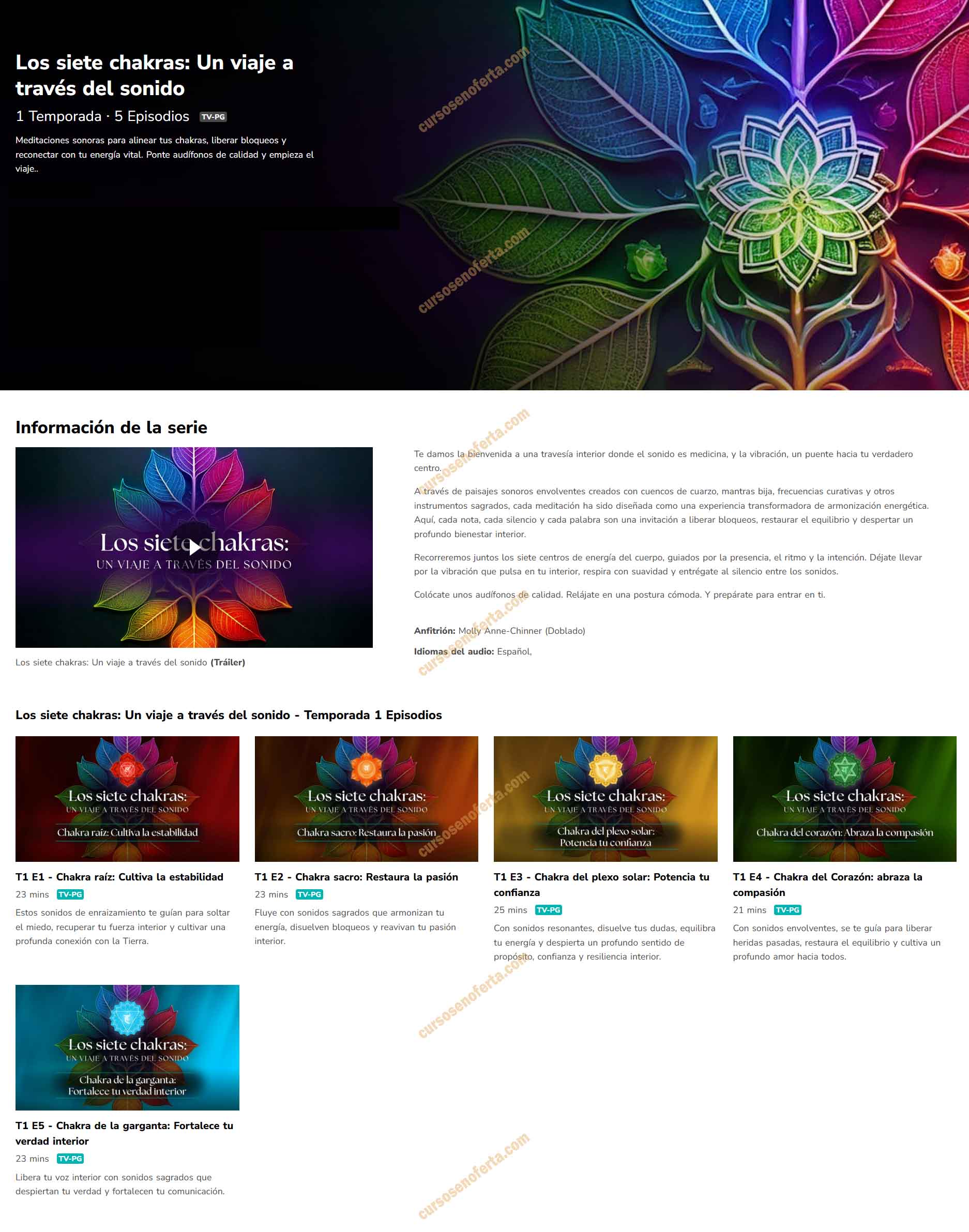 Los Siete Chakras Un Viaje a Través del Sonido - molly anne-chinner
