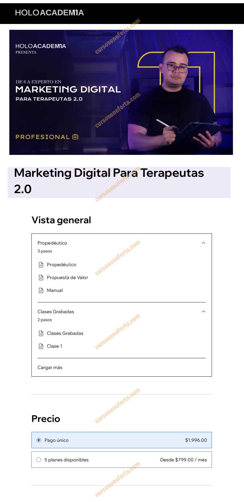 Marketing Digital Para Terapeutas 2.0 - holoacademia