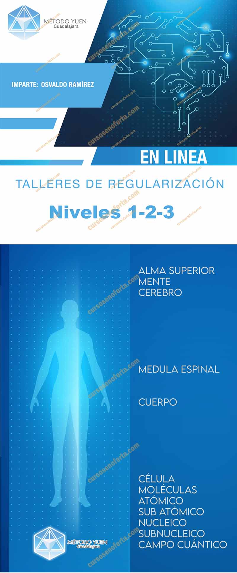 Método Yuen Guadalajara - Talleres de Regularización Niveles 1-2-3