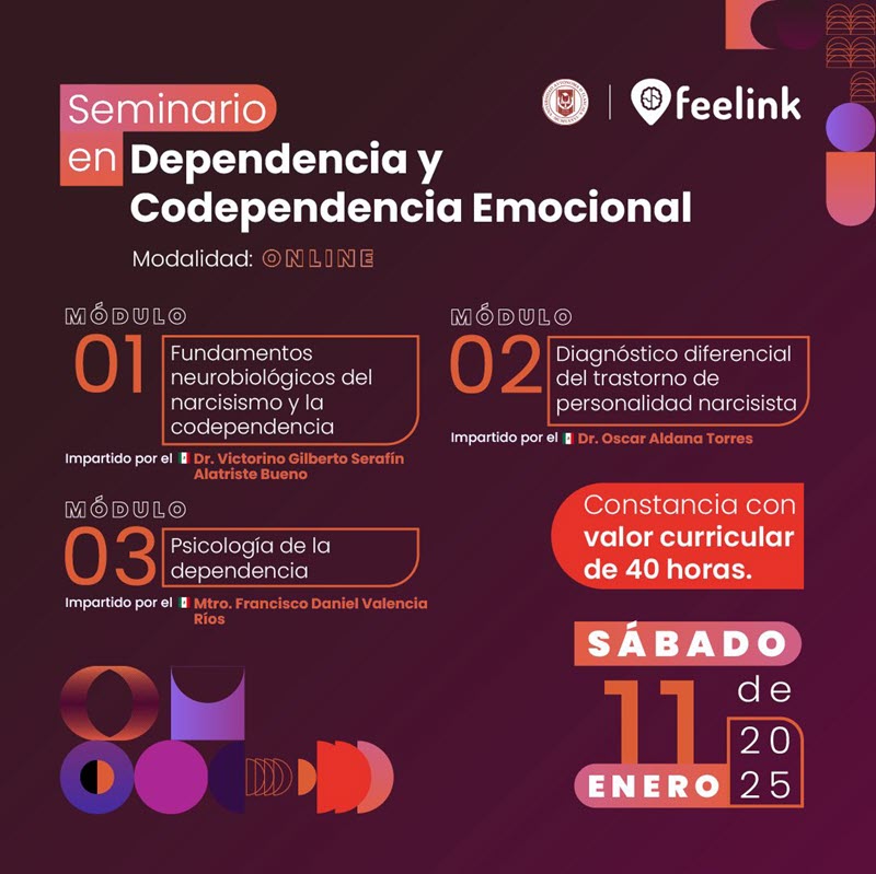 Seminario en Dependencia y Codependencia Emocional  - feelink