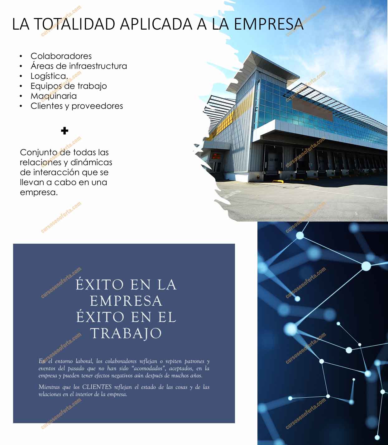 Taller éxito en los negocios - antologia cuantica - milagros rojas