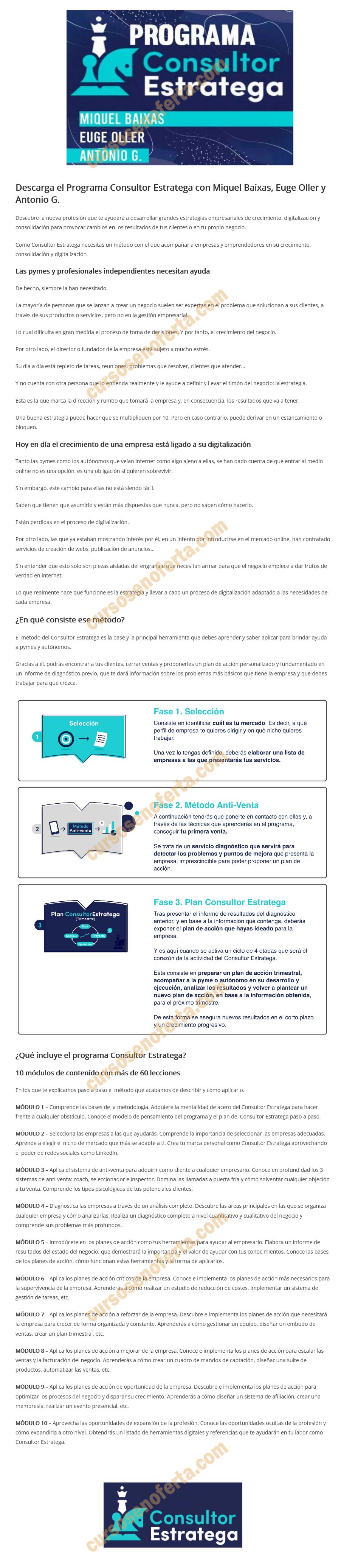 Programa Consultor Estratega