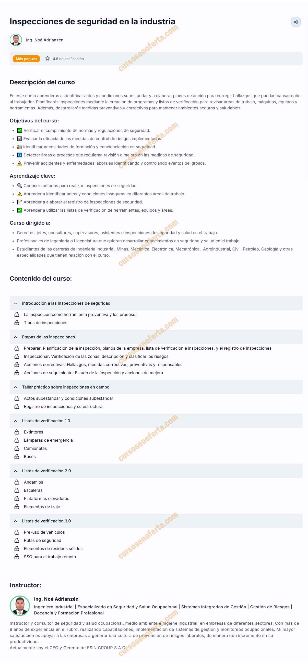 Inspecciones de seguridad en la industria - noe adrianzen