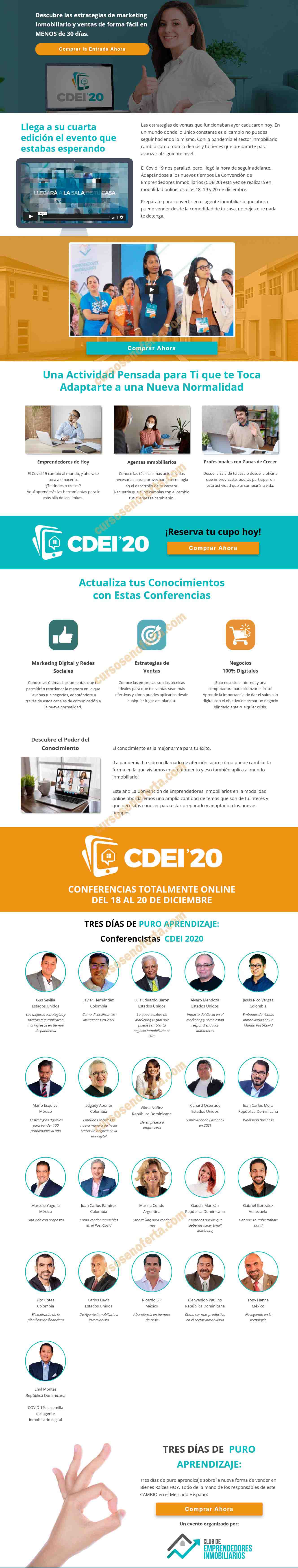 CDEI 2020
