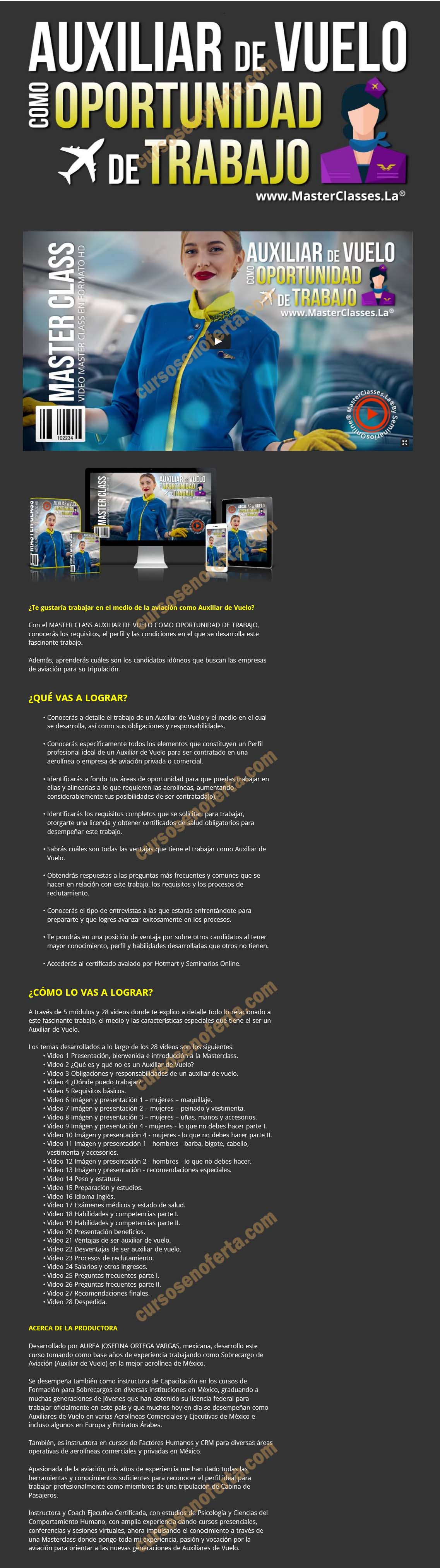 Auxiliar de vuelo como oportunidad de trabajo