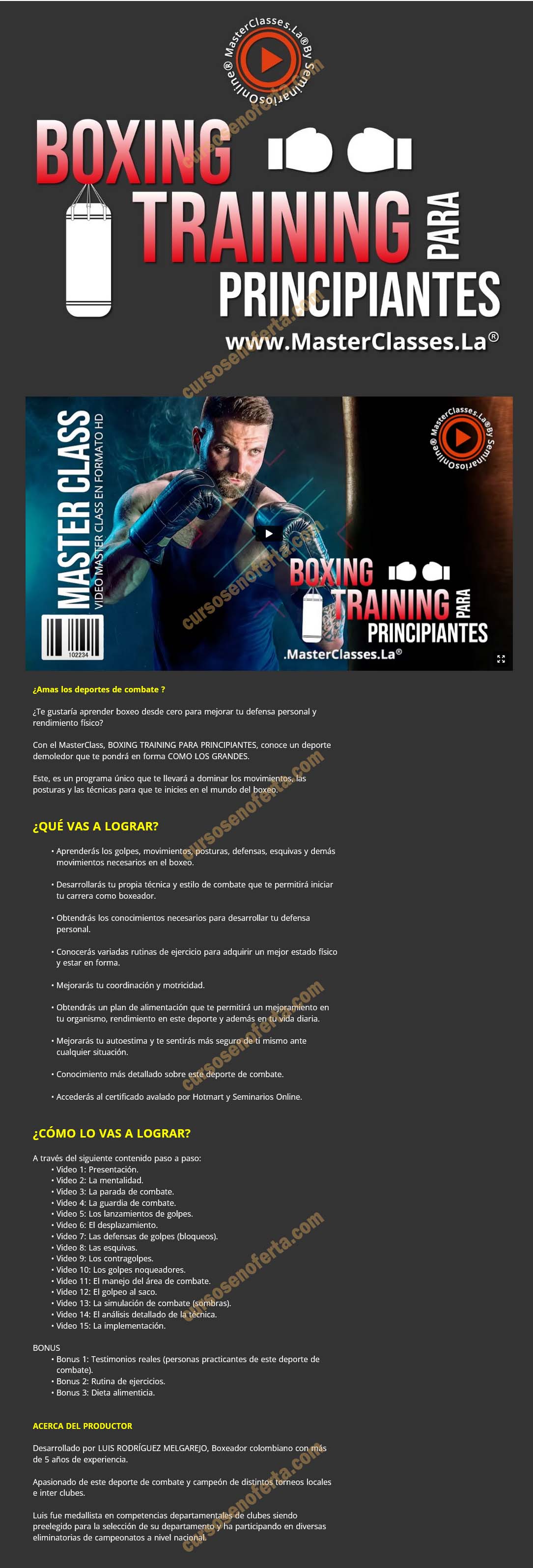 Boxing training para principiantes