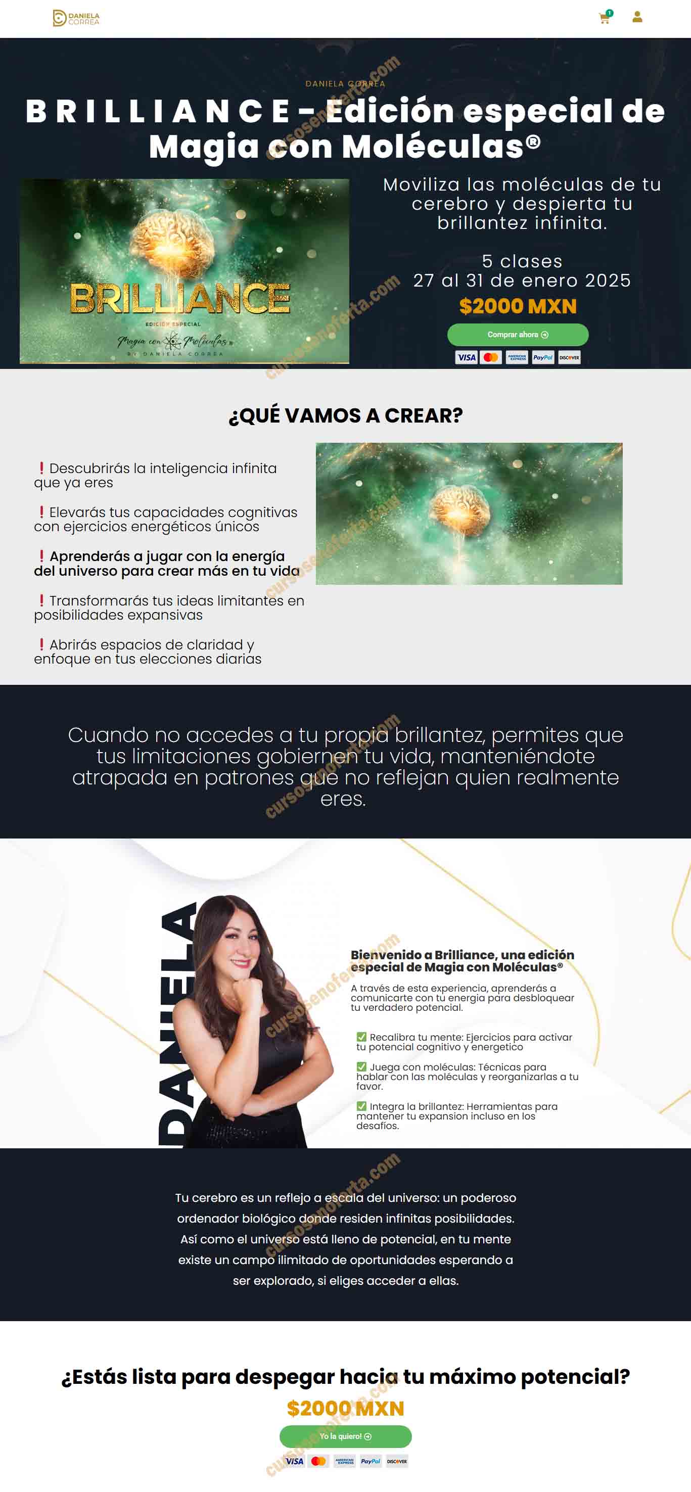 brilliance - daniela correa