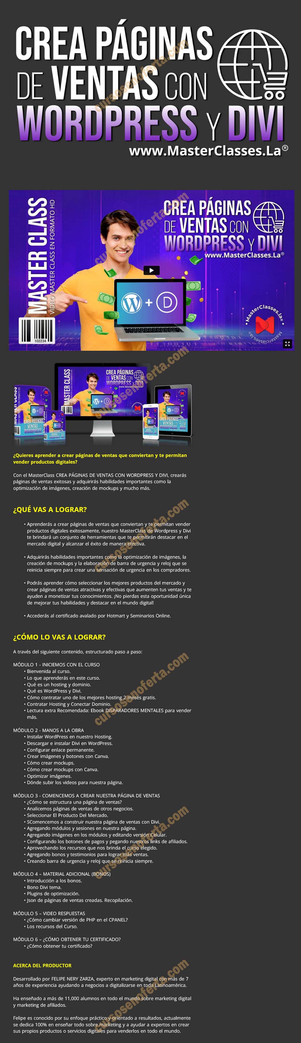 Crea páginas de ventas con wordpress y divi - Felipe Neri