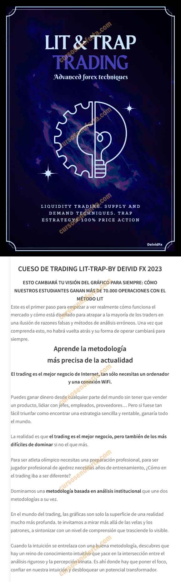 Curso de LIT TRAP Trading