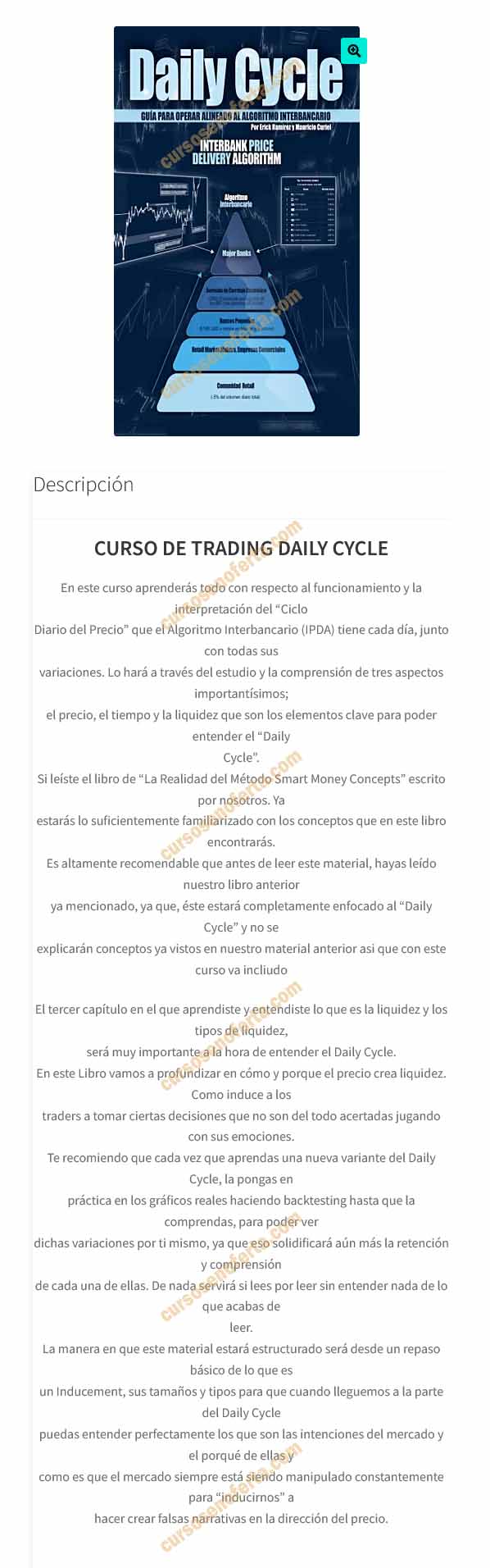 Curso de trading daily cycle