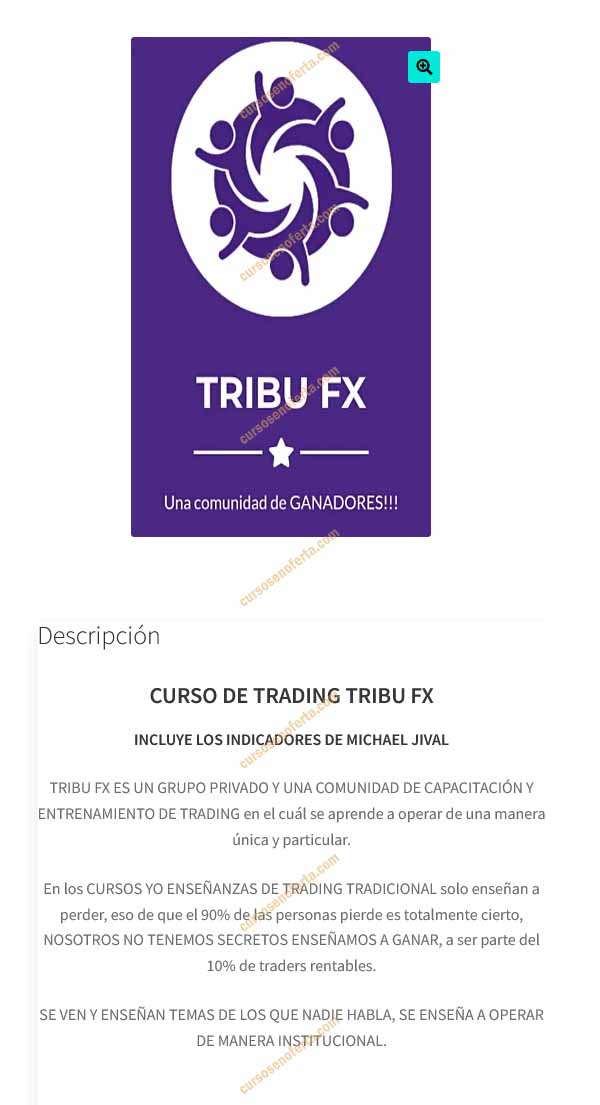 Curso de Trading Tribu FX - Michael Jival