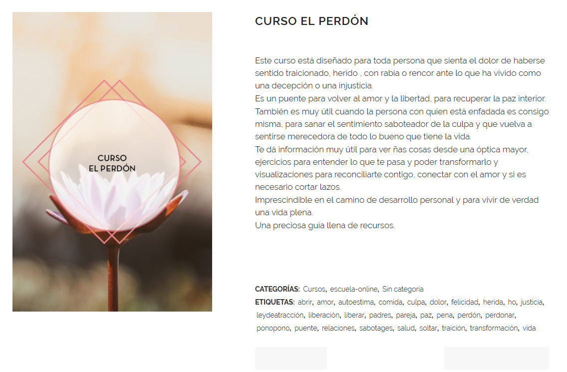 Curso El Perdón