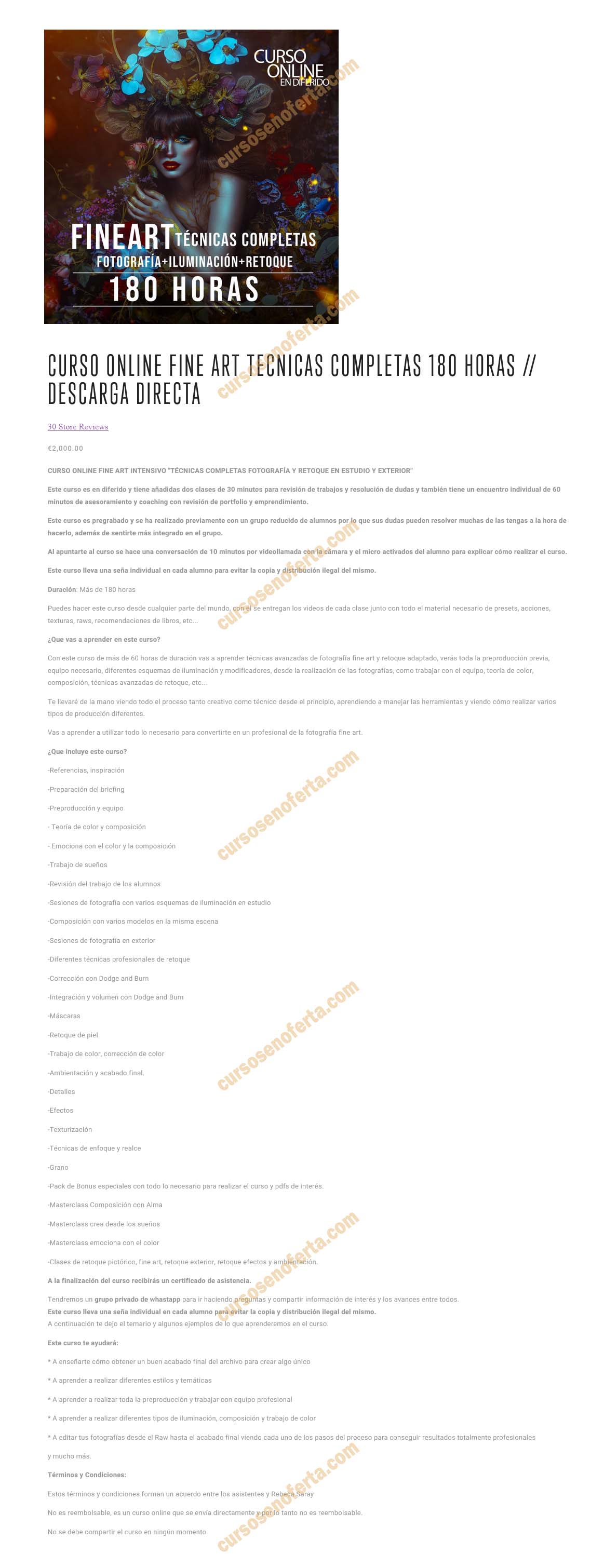 Curso Fine Art Técnicas Completas - rebeca saray