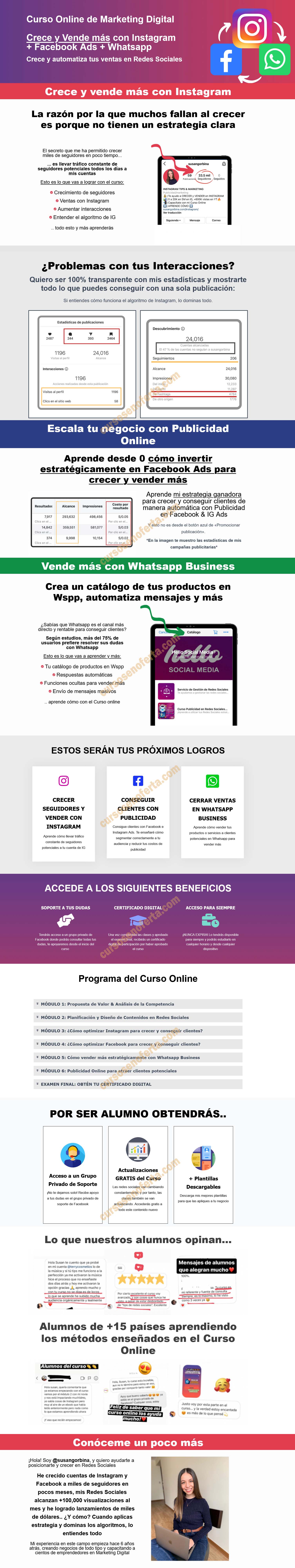 Curso online de marketing digital - susan gorbina