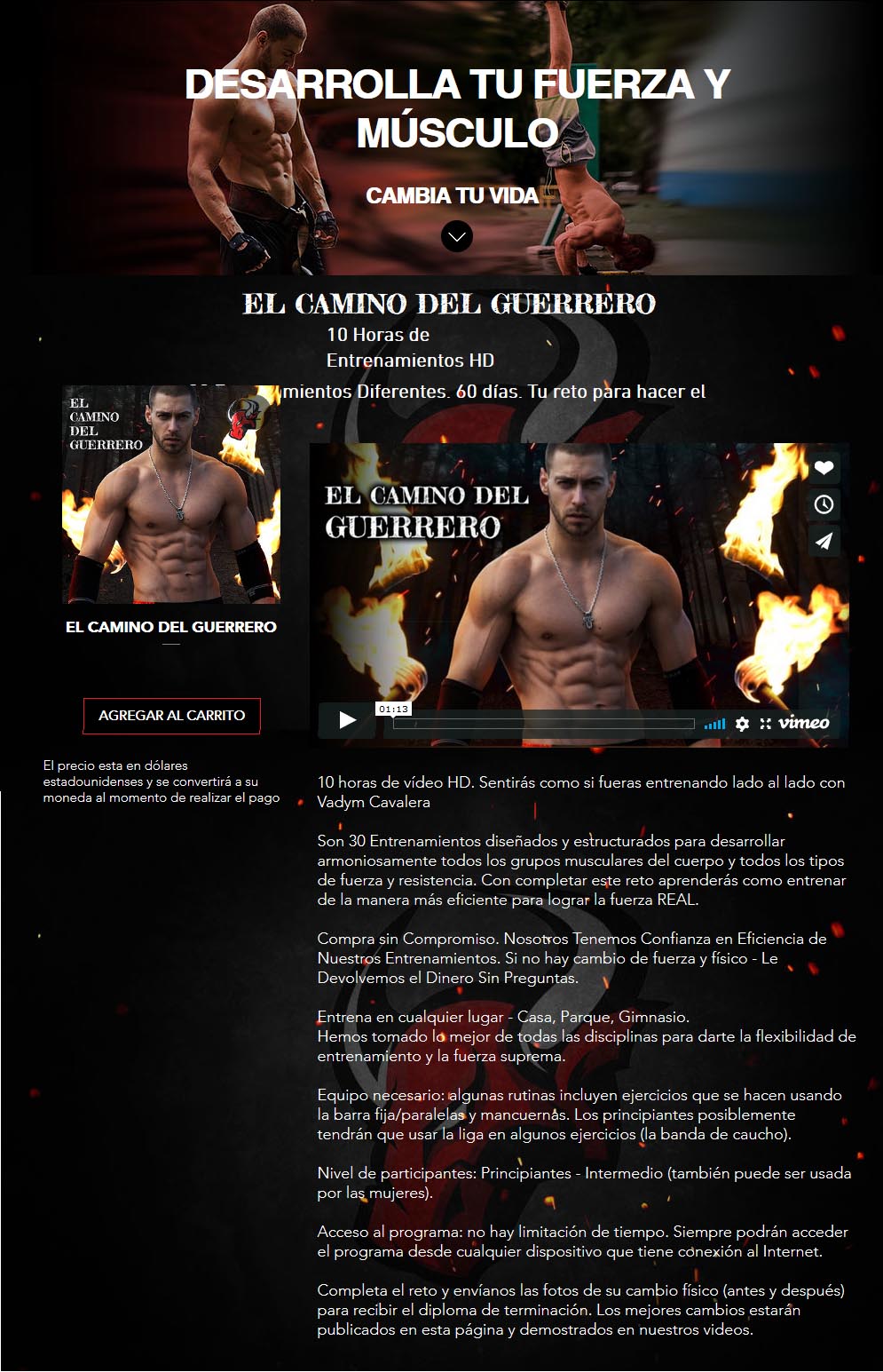 El camino del guerrero