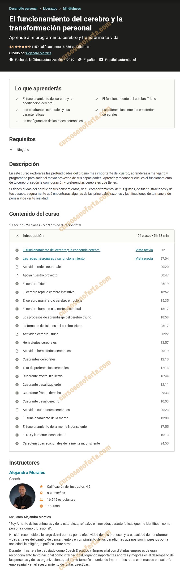 El funcionamiento del cerebro y la transformación personal