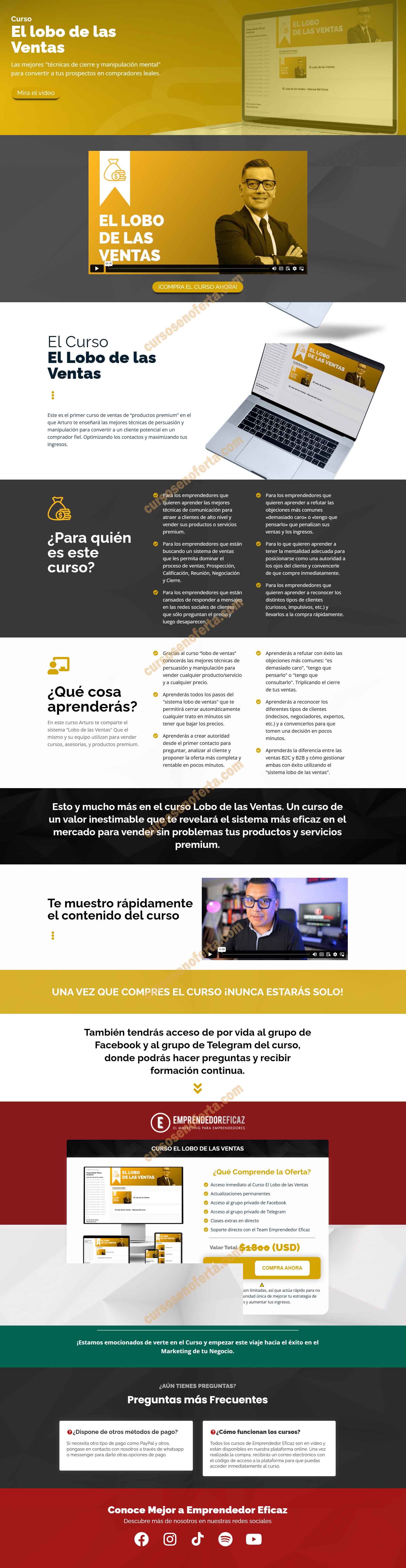 El Lobo de las Ventas - emprendedor eficaz