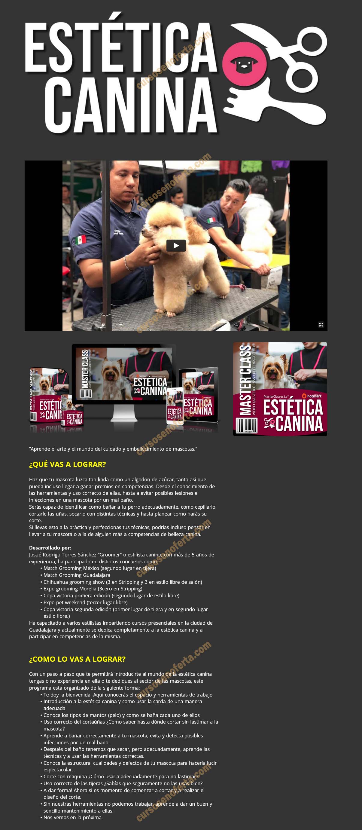 Estética Canina - josué torres