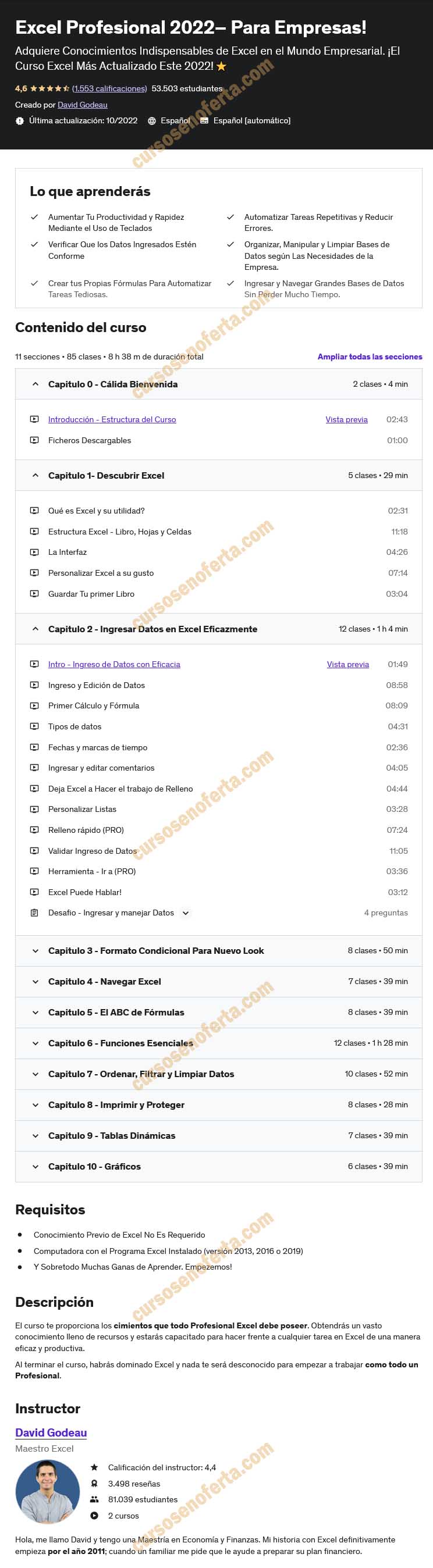 Excel Profesional 2022 para Empresas