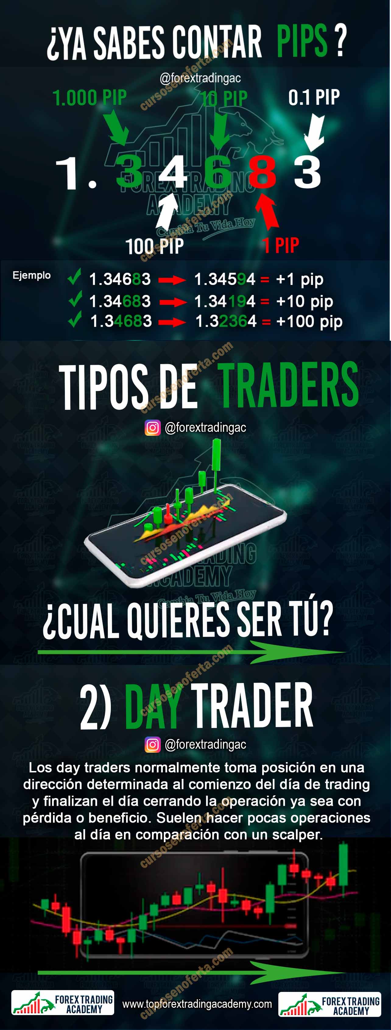 Forex Trading Academy