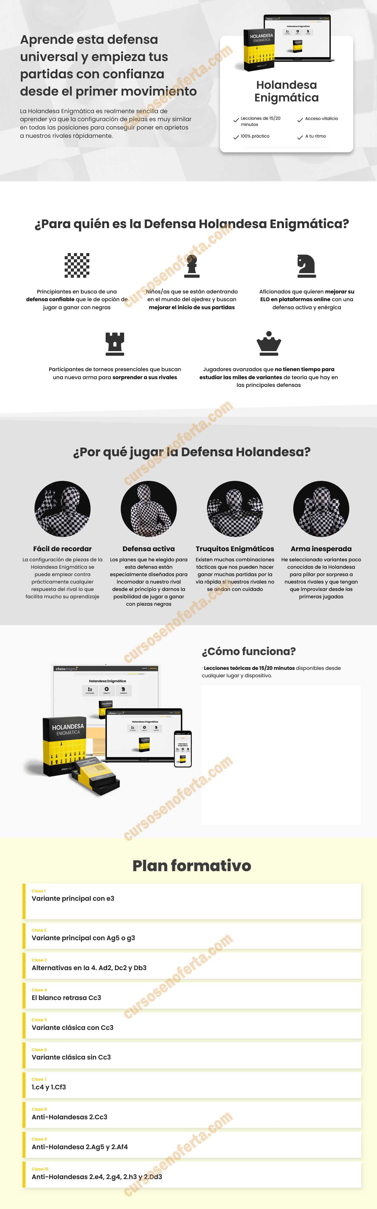 Holandesa Enigmática