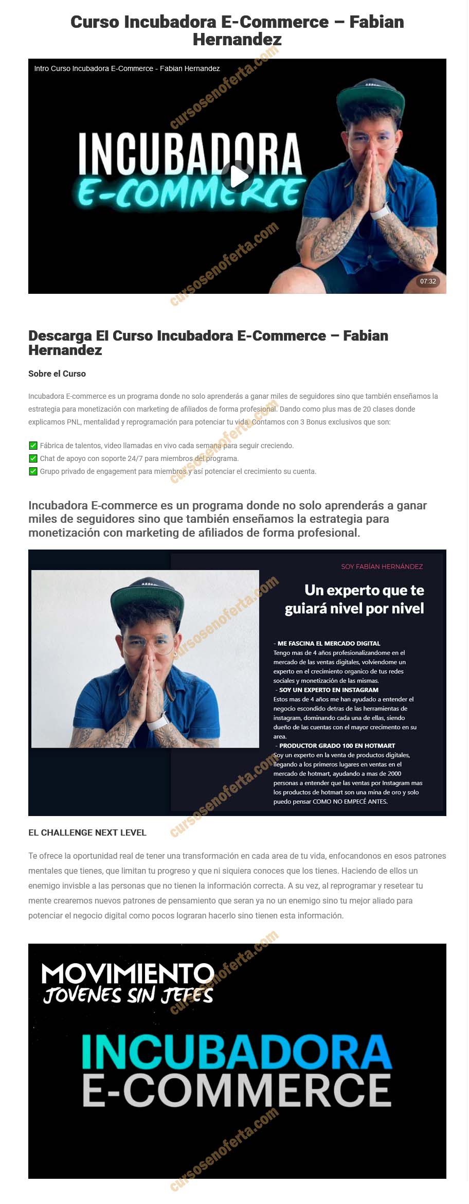 Incubadora E-commerce - fabián hernandez
