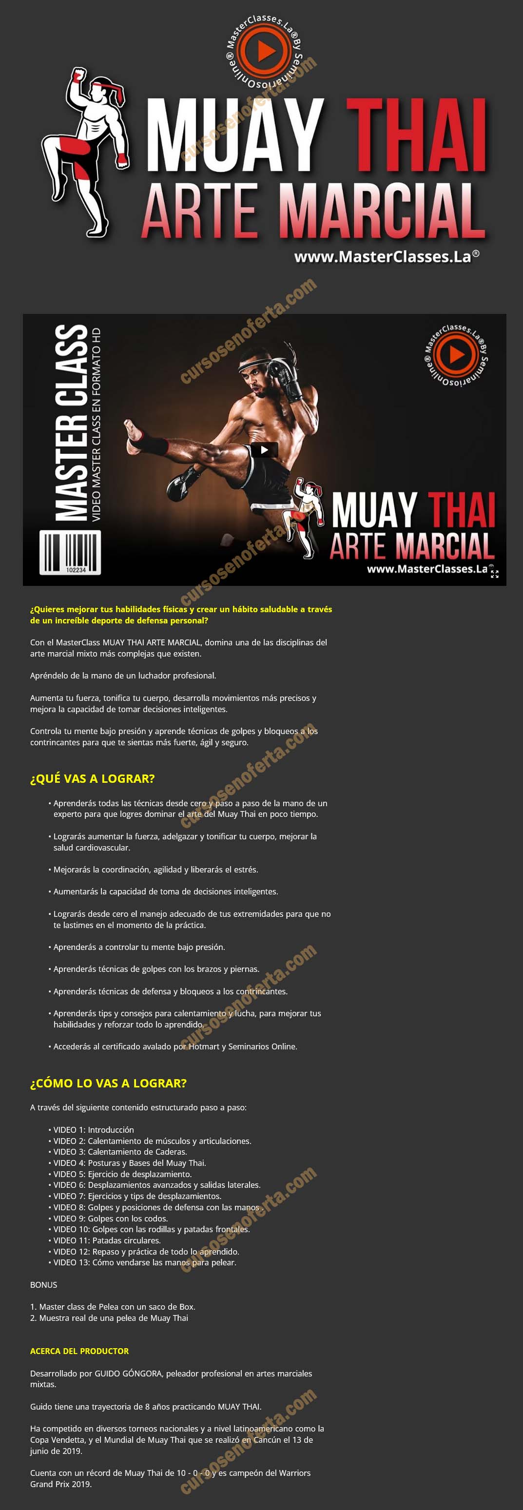 Muay Thai arte marcial