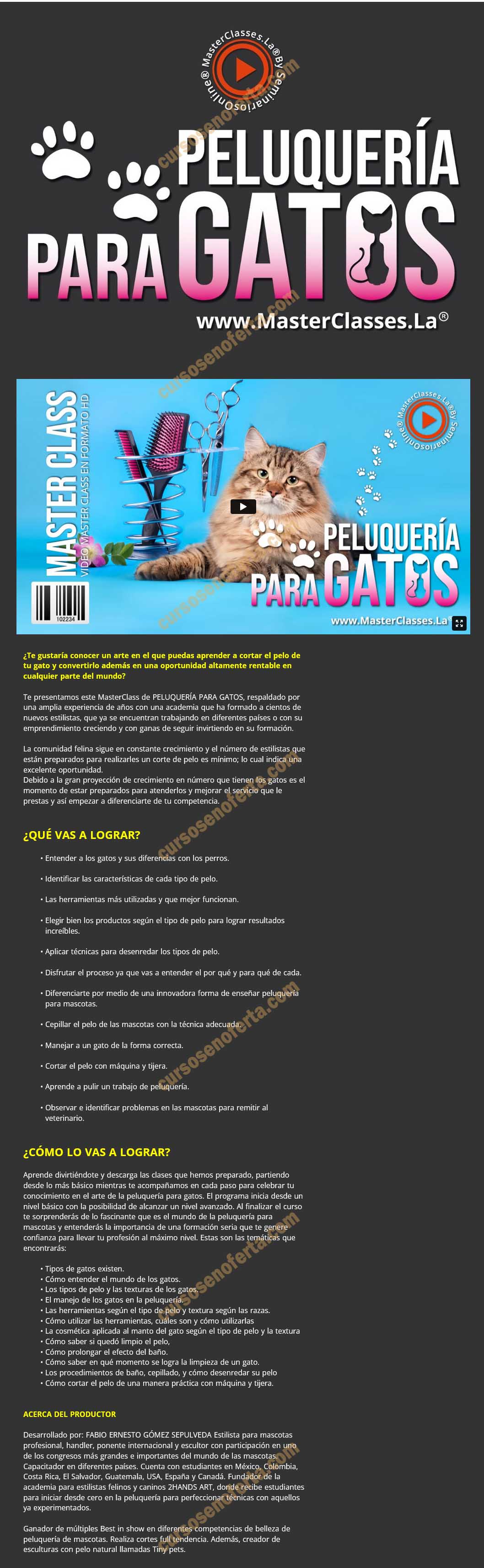 Peluquería para gatos