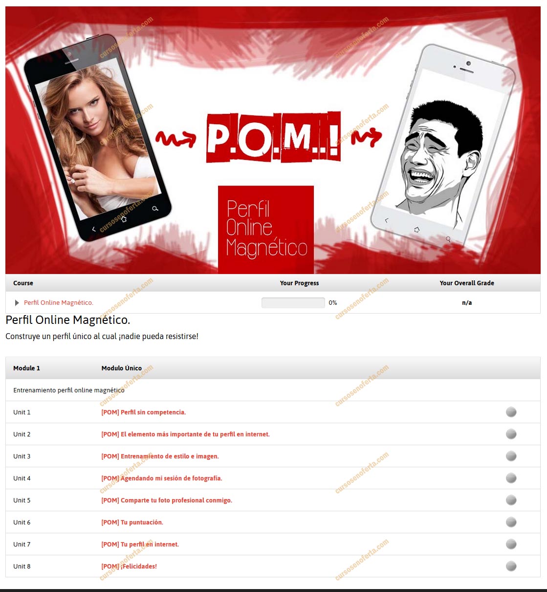 Perfil Online Magnético